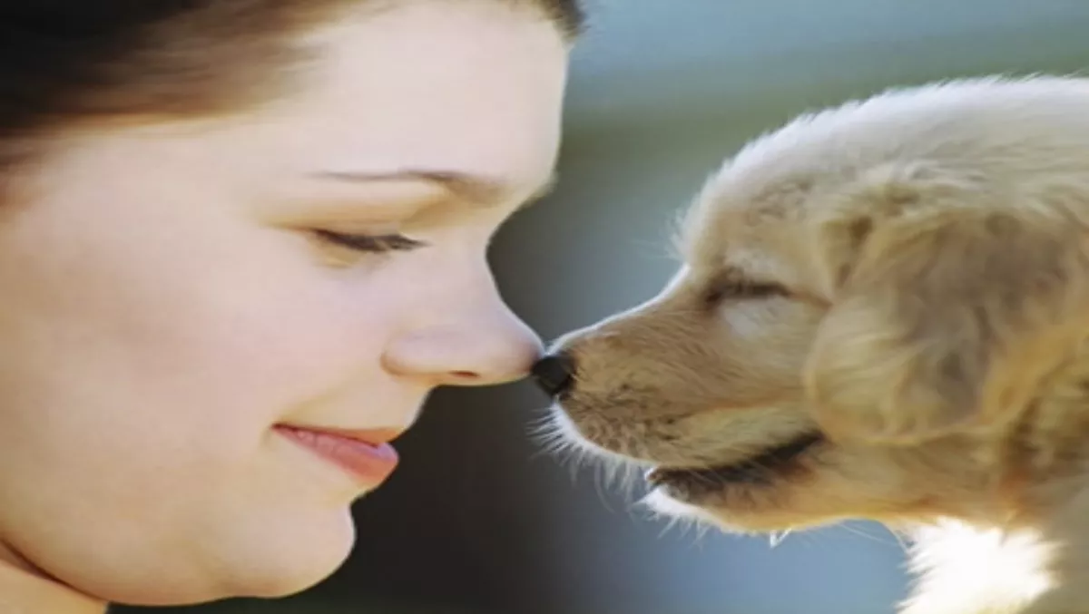 Pet lovers rejoice