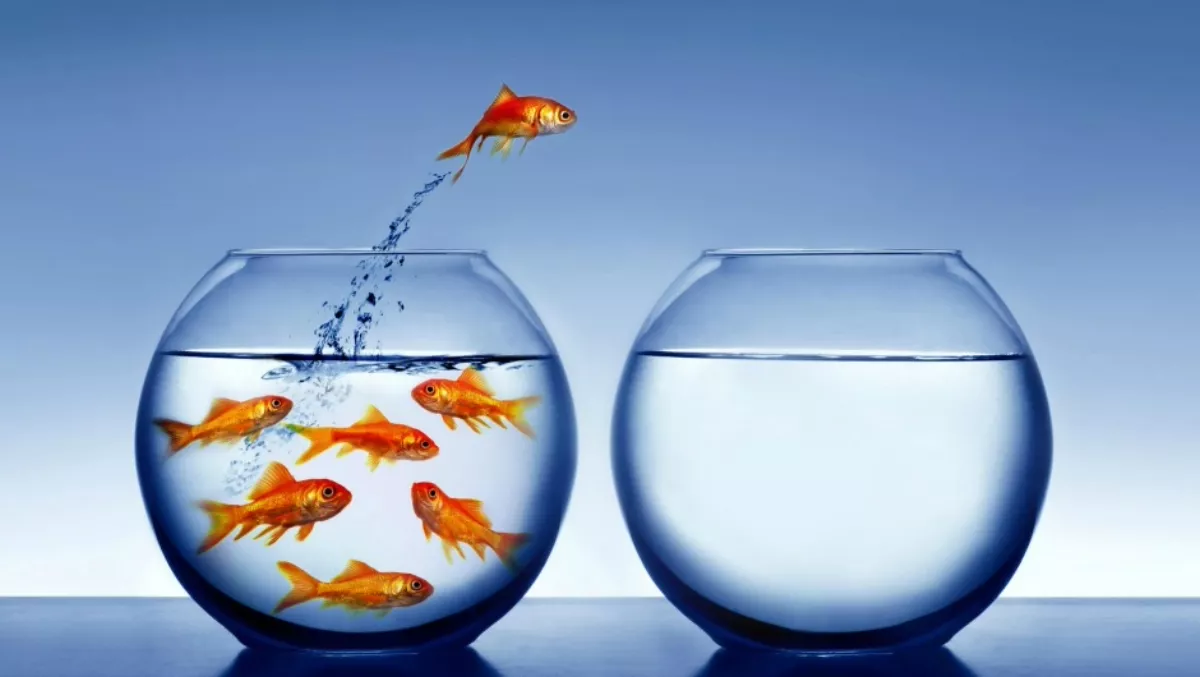 Think big fishy