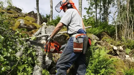 Making lone workers comfortable with safety solutions