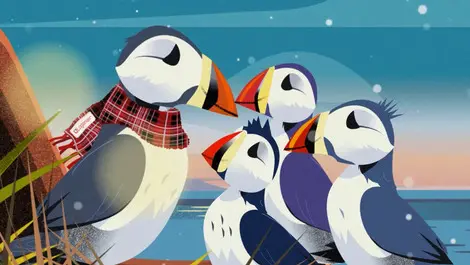 Puffins featured in loganair s christmas ad  the nest