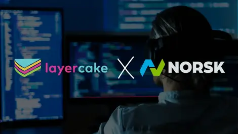 Layercake x norsk press release(2)